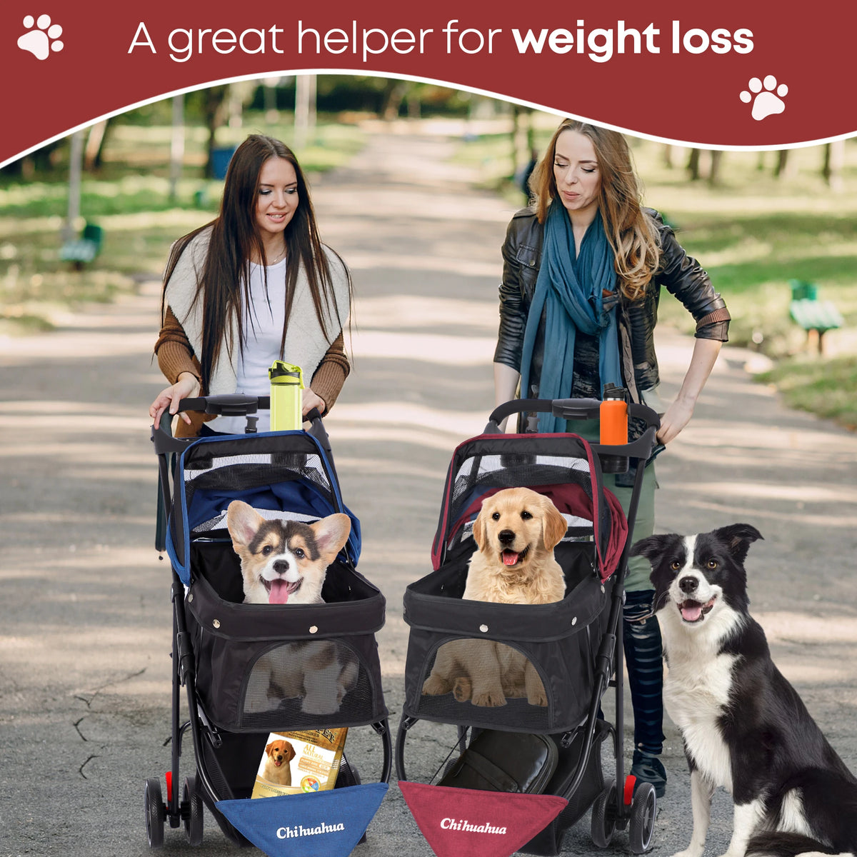 CHIHUAHUA Pet Stroller 3 Wheels For Small Medium Dogs Cats