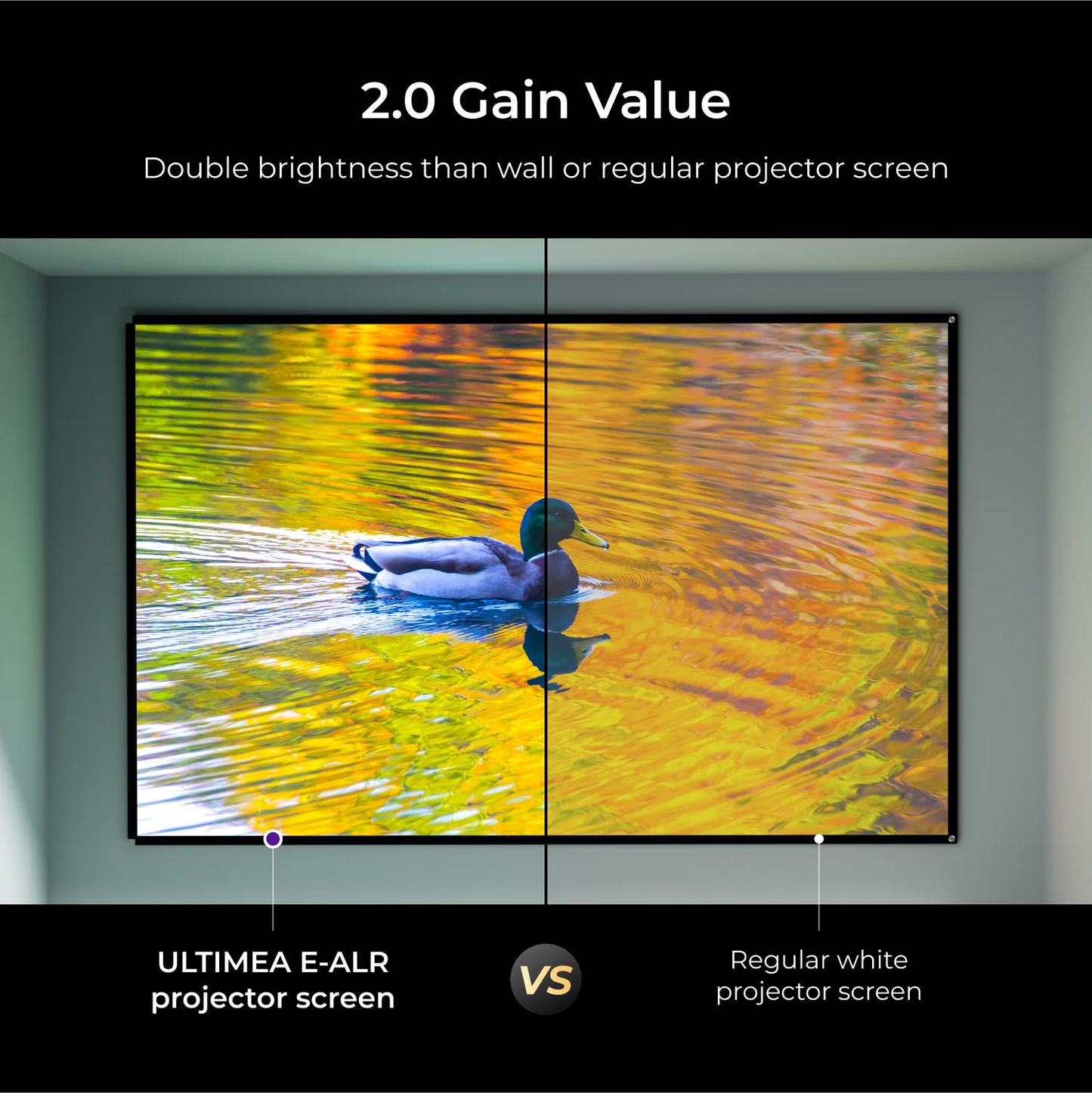 ULTIMEA Photon E ALR Portable Projection Screen Ambient Light Rejection
