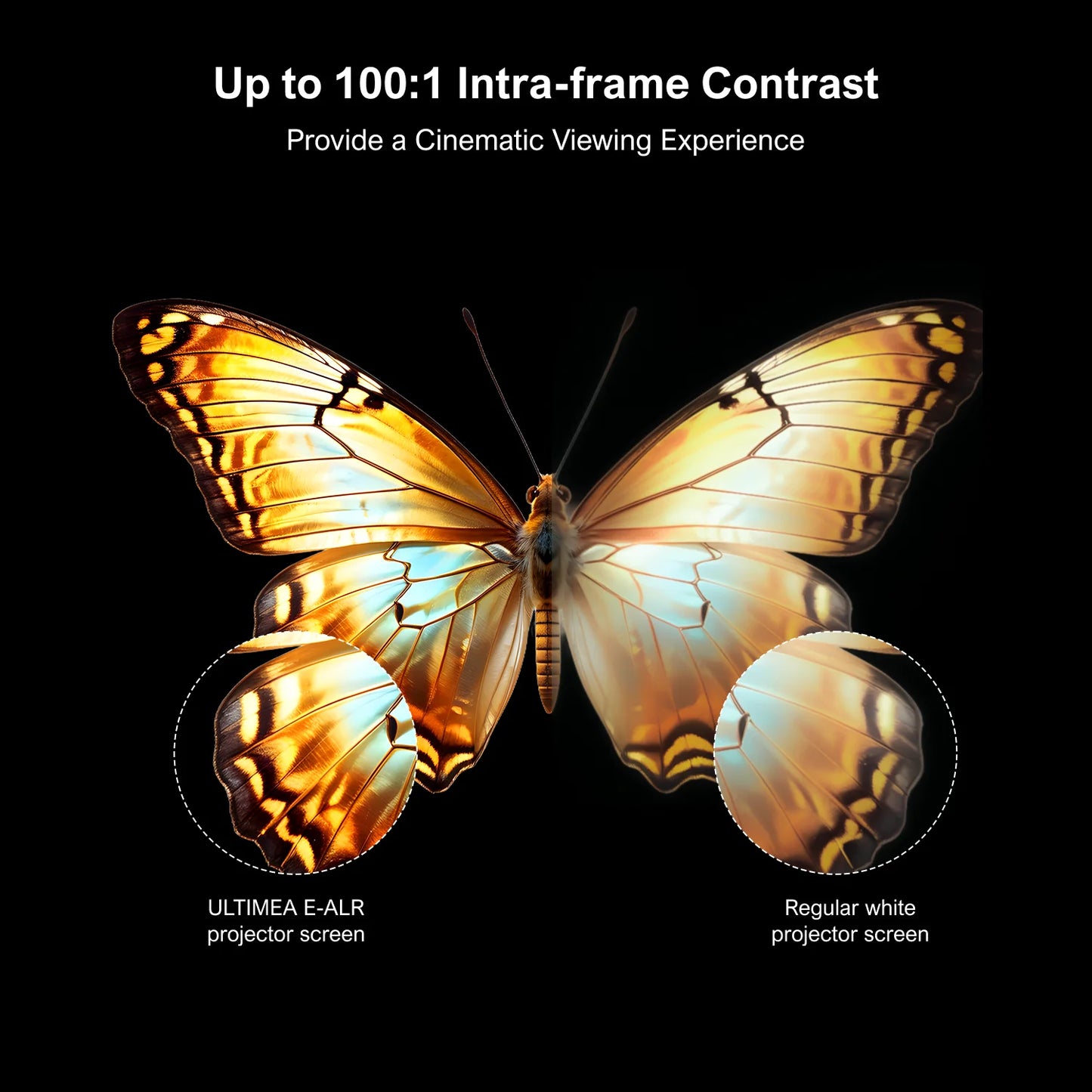 ULTIMEA EALR Projector Screen 2.0 Gain For Outdoor Theater