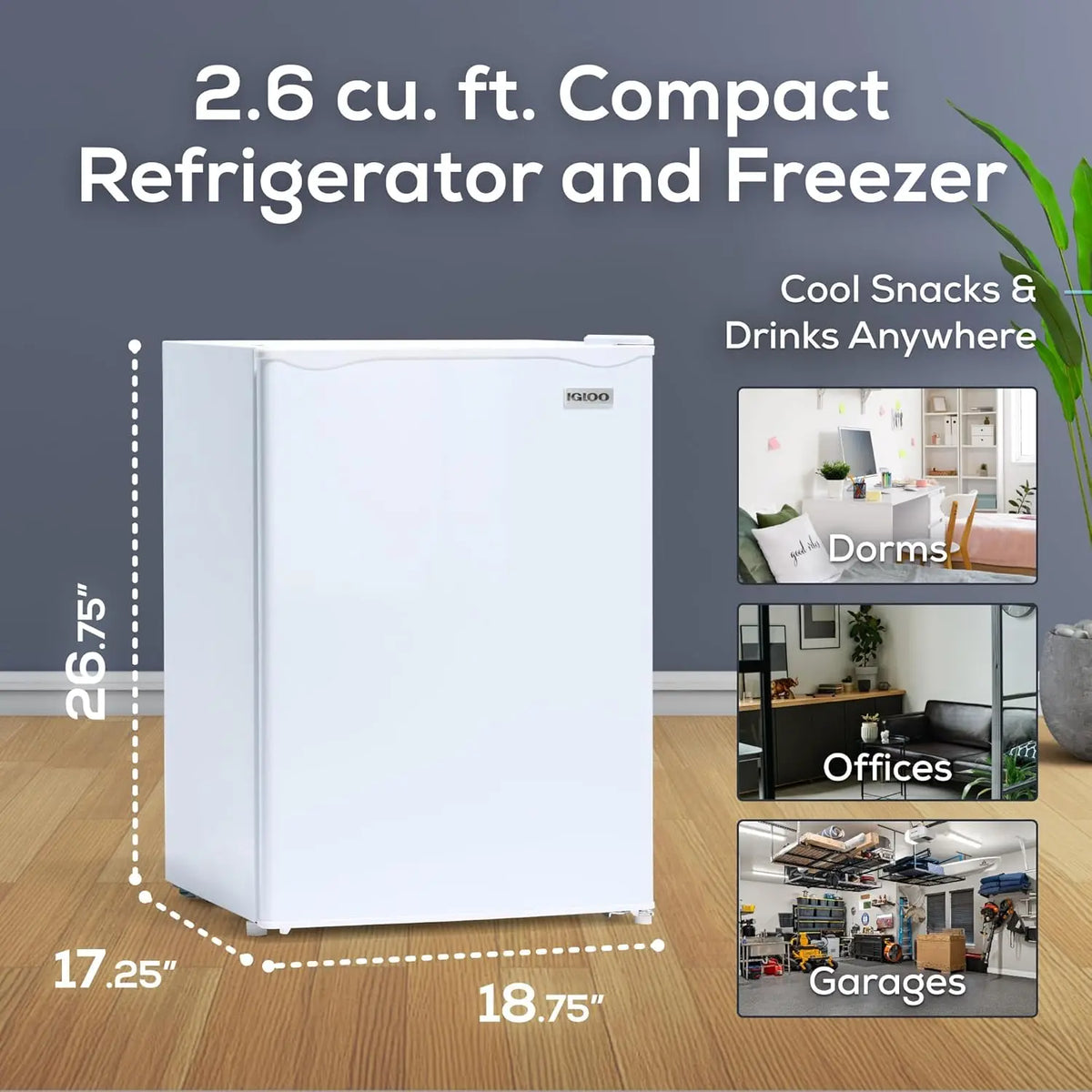 XMSJ Mini Refrigerator With Freezer And Glass Shelves For Home